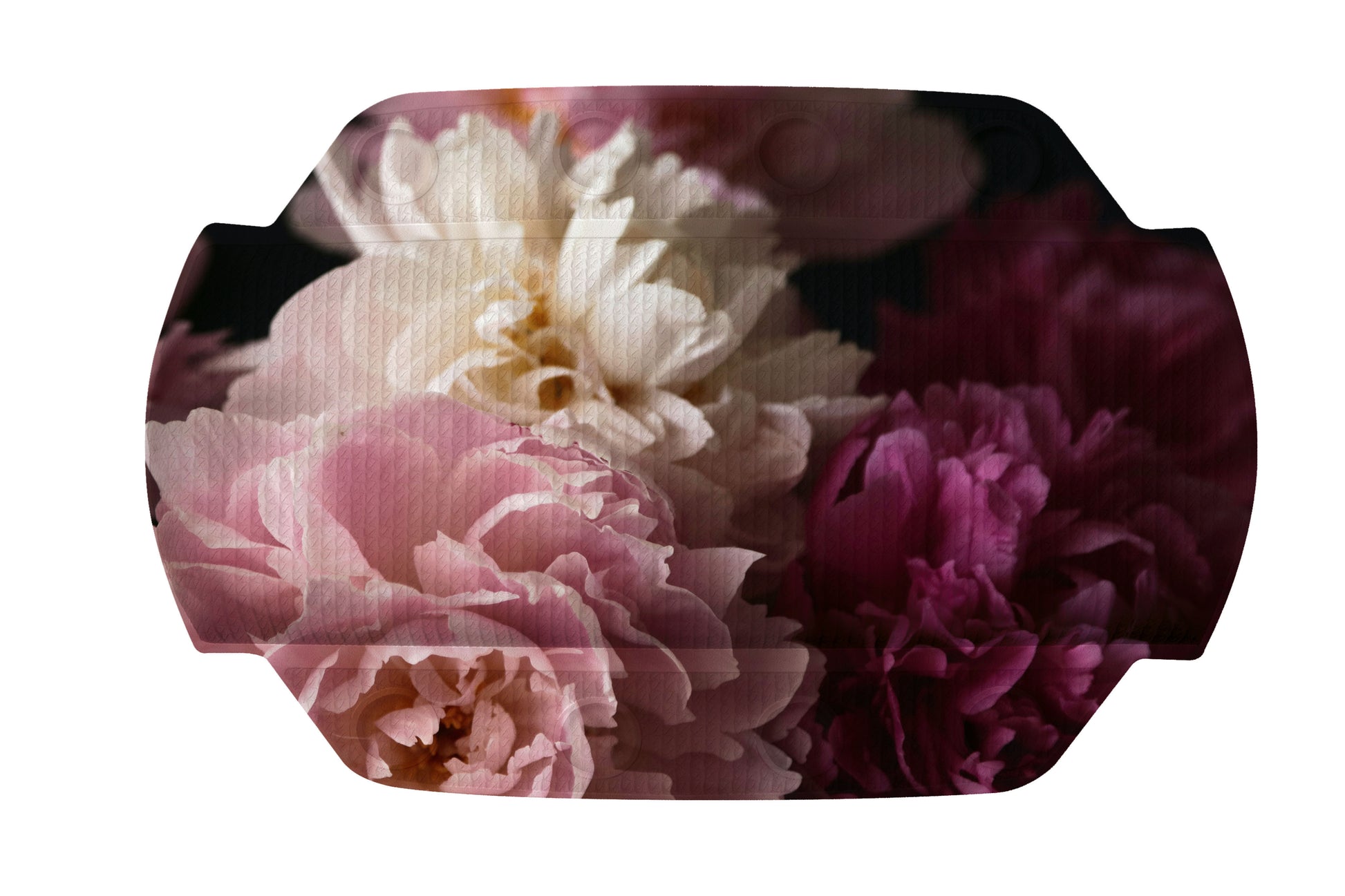 Nahaufnahme von rosa und weißen Pfingstrosen mit dunklem Hintergrund