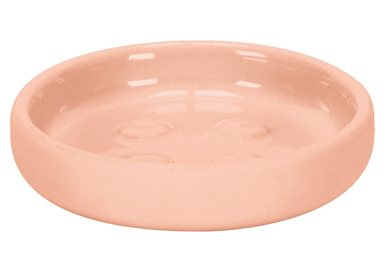 Die Seifenschale ECLIPSE Papaya steht leer und rund in pastellorange auf weißem Hintergrund.