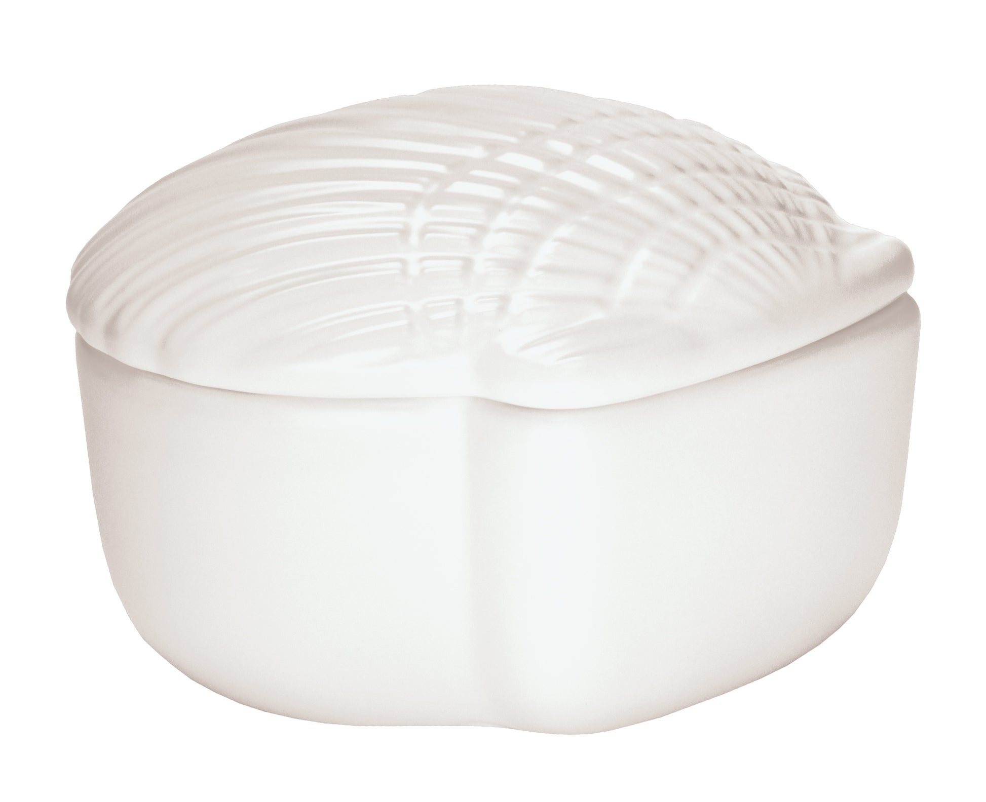 Die Wattedose CONCHA Weiß in Muschelform steht freigestellt vor weißem Hintergrund.