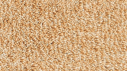 Der champagnerfarbene Badteppich zeigt eine weiche, dicht gewebte Schlingenstruktur.