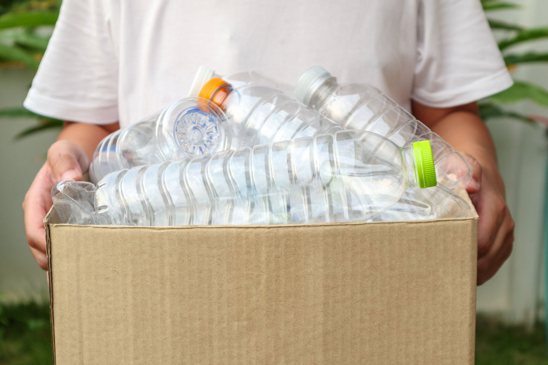 Eine Person hält einen Karton mit leeren Plastikflaschen zur Wiederverwertung in den Händen.