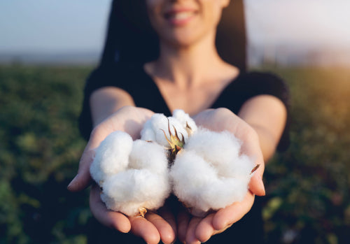 Eine Frau hält nachhaltige Baumwolle in den Händen und zeigt umweltfreundliche Qualität.