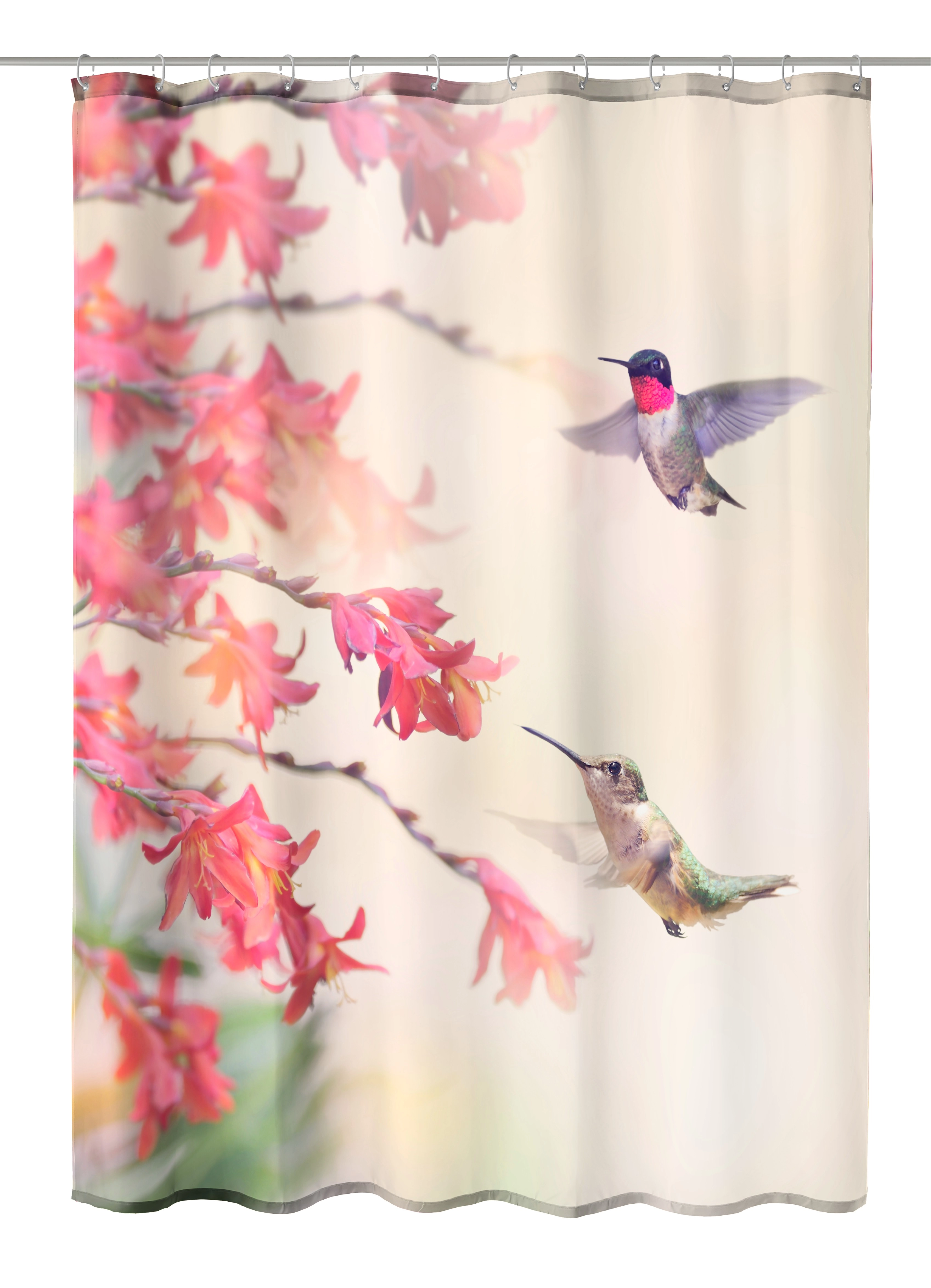 Duschvorhang TXT, Kolibri Multicolor, 180x200 cm