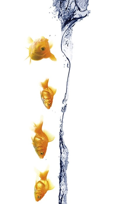 Underwater