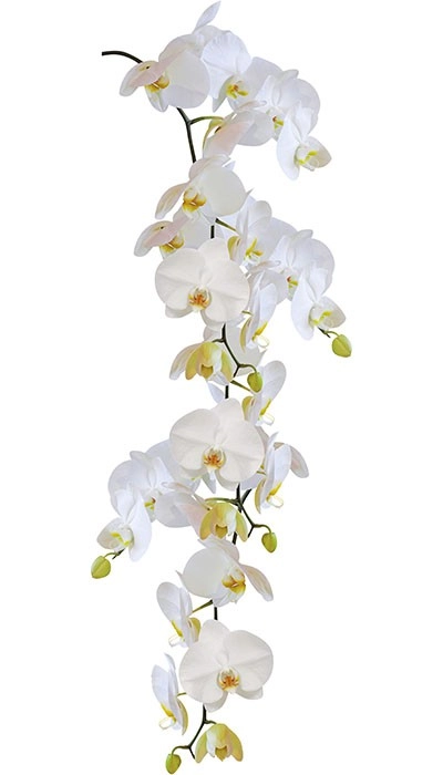 Static, Orchid Weiß, 23x 68 cm