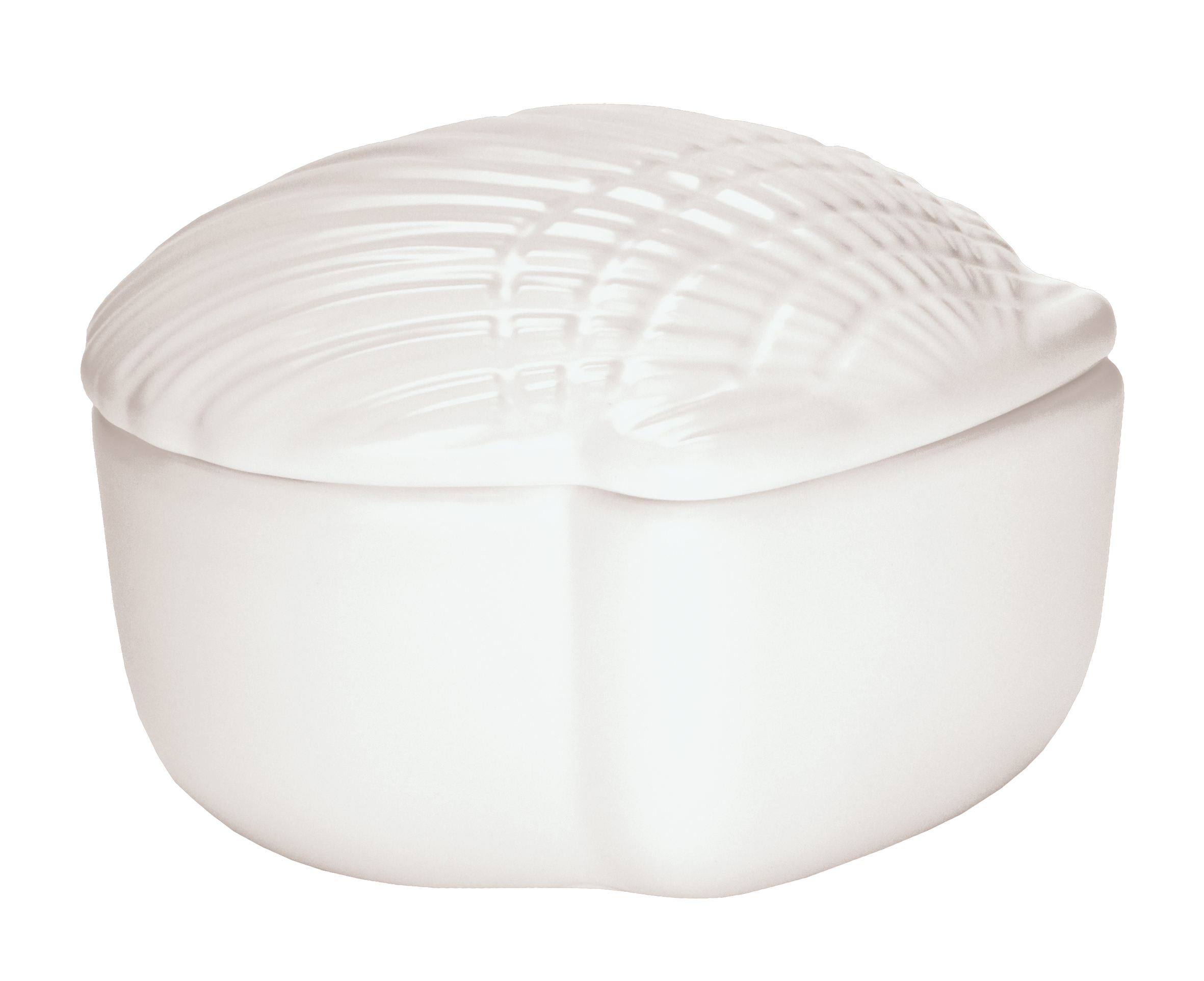 Wattedose CONCHA Weiß Weiße Seifenschale in Muschelform, elegant und stilvoll, ideal für Badezimmerdekoration und praktische Seifenaufbewahrung.